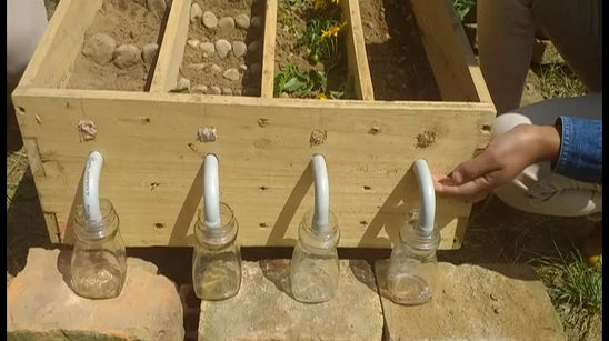 Caja de Erosión